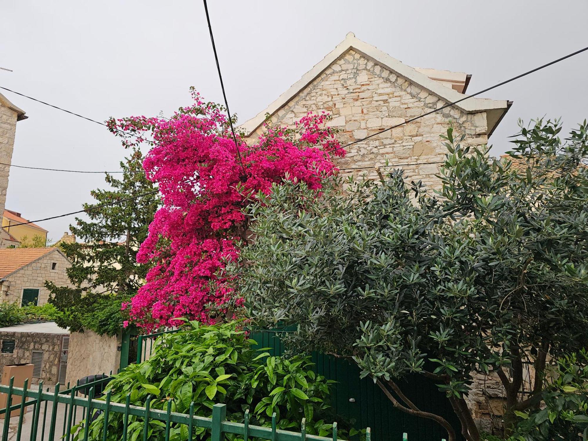 Apartment Franicevic Split Exterior photo